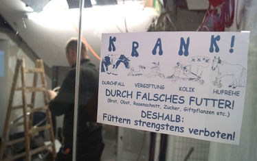 Wb 14 2018  Nr 944 Krank