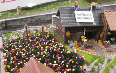 WB-09-2019-Nr-961-Gaston