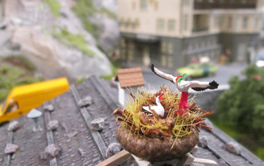 WB-10-2019-Nr-961-Gaston