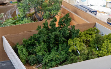 Wb 07 kw 42 2019 n 989 gruenzeug