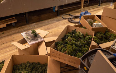 Wb 01 kw 43 2019 n 990 begruenung eins