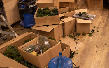 Wb 02 kw 43 2019 n 990 begruenung zwei