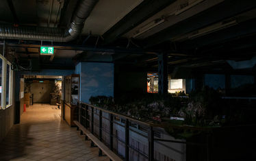 Wb 01 kw 15 2020 n 1015