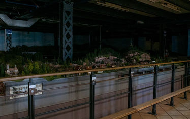 Wb 02 kw 15 2020 n 1015