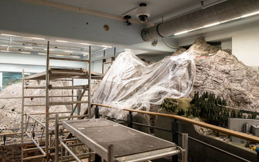 Wb 06 kw 16 2020 n 1016