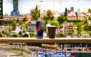 Wb 08 kw 17 2020 n 1017