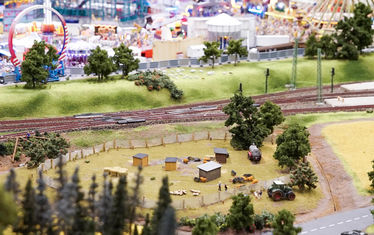 Wb 02 kw 27 2020 n 1027 wollschweine