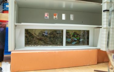 Wb 07 kw 33 2020 n 1033 monaco aquarium