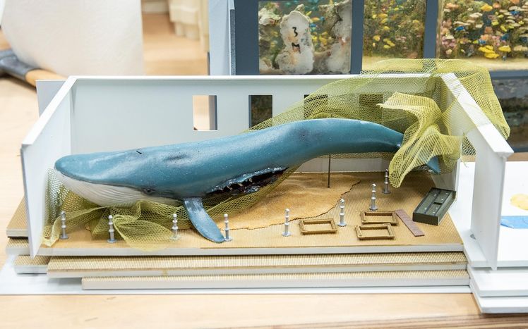 Wb 06 kw 40 2020 n 1040 monaco