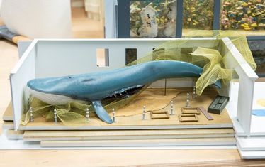 Wb 06 kw 40 2020 n 1040 monaco