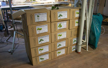 Wb 06 kw 22 2021 n 1075 riodejaneiro