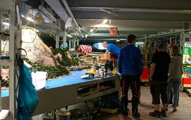 Wb 01 kw 38 2021 n 1091 rio