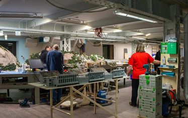 Wb 06 kw 39 2021 n 1092 rio