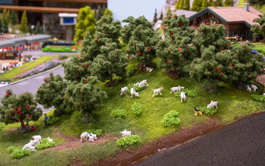 Wb 03 kw 15 2021 n 1068 österreich