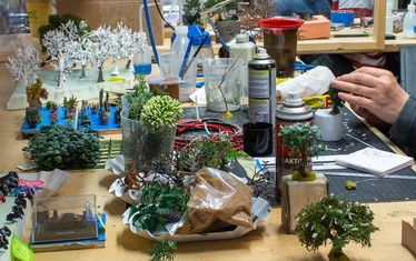 Wb 03 kw 16 2021 n 1069 pflanzen