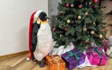 Wb 07 kw 01 2022 n 1106 pinguin