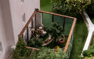 Wb 04 kw 27 2022 n 1132 monaco katzen