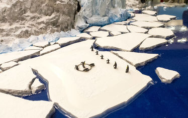 Wb 03 kw 14 2023 n 1171 antarktis