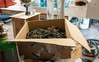 Wb 02 kw 15 2023 n 1172 patagonien baeume