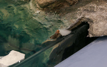 Wb 05 kw 18 2023 n 1175 patagonien