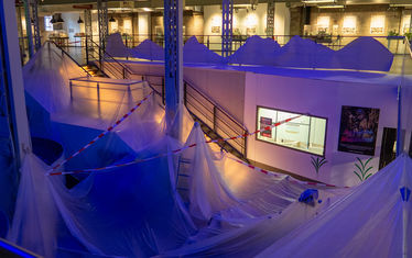 Wb 01 kw 35 2023 n 1192 regenwald