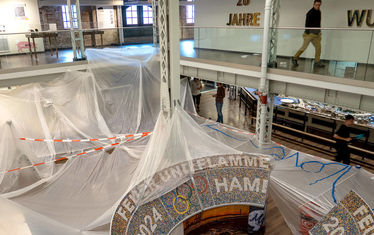 Wb 02 kw 35 2023 n 1192 regenwald