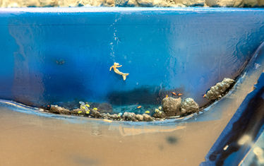 Wb 06 kw 35 2023 n 1192 monaco