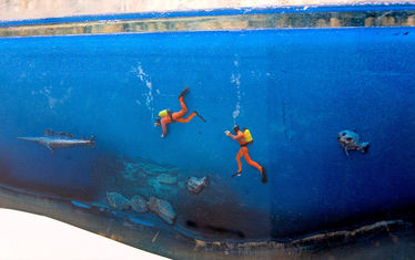 Wb 06 kw 39 2023 n 1196 monaco