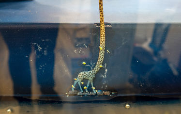 Wb 05 kw 47 2023 n 1204 monaco