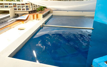 Wb 04 kw 49 2023 n 1206 monaco