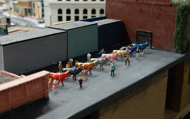 Wb 07 kw 03 2024 n 1212 amerika