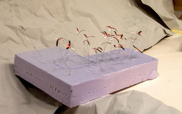 Wb 06 kw 04 2024 n 1213 atacama