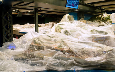 Wb 04 kw 11 2024 n 1220 monaco