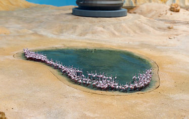 Wb 04 kw 38 2024 n 1247 atacama