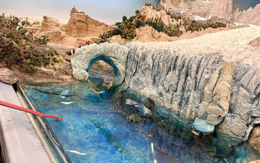 Wb 02 kw 39 2024 n 1248 patagonien