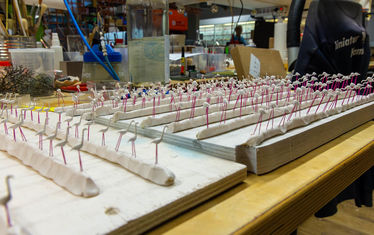 Wb 03 kw 44 2024 n 1253 modellbau flamingos