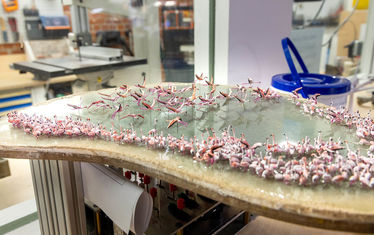 Wb 03 kw 11 2025 n 1272 flamingos