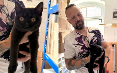 Wb 01 kw 29 2025 n 1290 katzenrettung