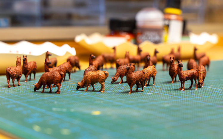 Wb 04 kw 03 2026 n 1316 modellbau llama