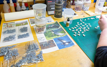 Wb 01 kw 04 2026 n 1317 modellbau llamas