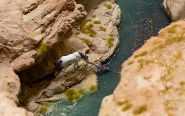 Wb 06 kw 04 2026 n 1317 atacama