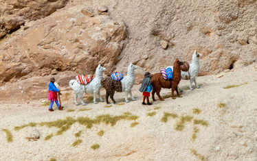 Wb 05 kw 06 2026 n 1319 atacama