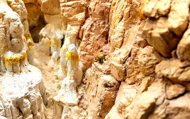 Wb 04 kw 08 2026 n 1321 atacama