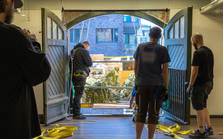 Wb 02 kw 17 2026 n 1330 regenwald anlieferung