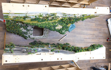 Wb 05 kw 17 2026 n 1330 regenwald