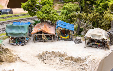 Wb 06 kw 17 2026 n 1330 regenwald