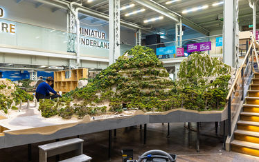 Wb 07 kw 17 2026 n 1330 regenwald